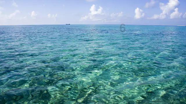 流浪大师的行为，能理解吗？游戏画面