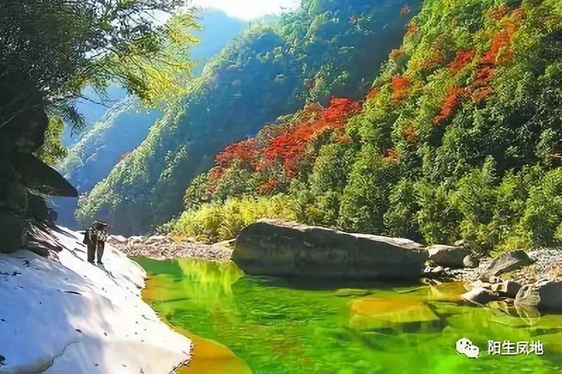 植物大战僵尸11