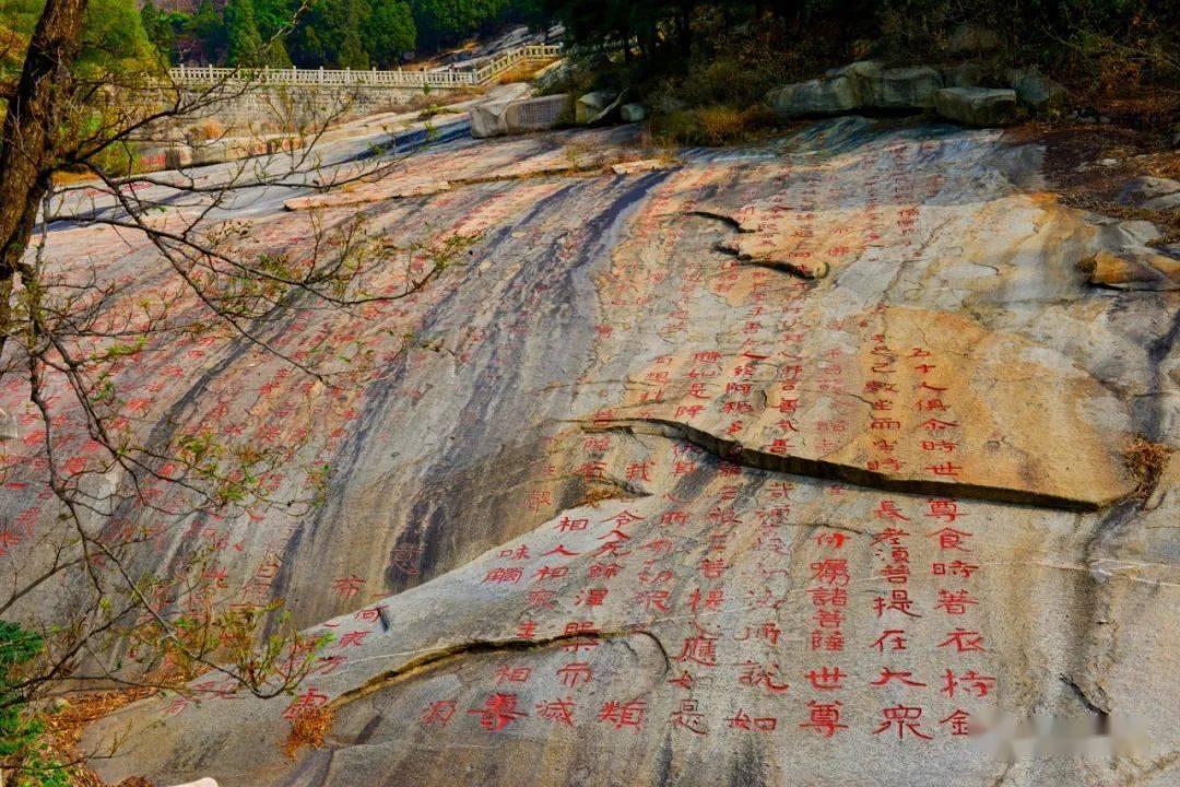 巴勒斯坦支持者在布林肯家门口抗议 呼吁停火