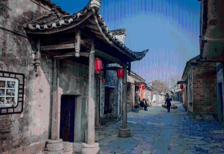 加入土鸡蛋和普通鸡蛋,哪个更好吃呀?,探索知识星球的乐园